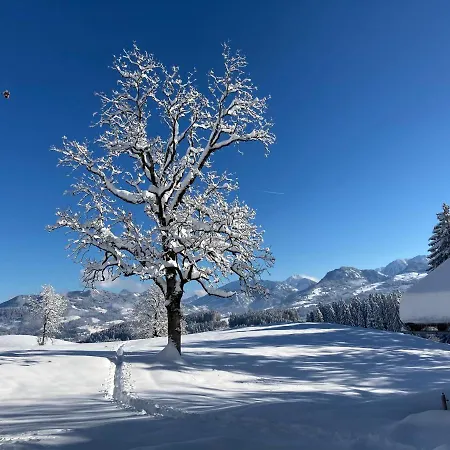 Bergblick