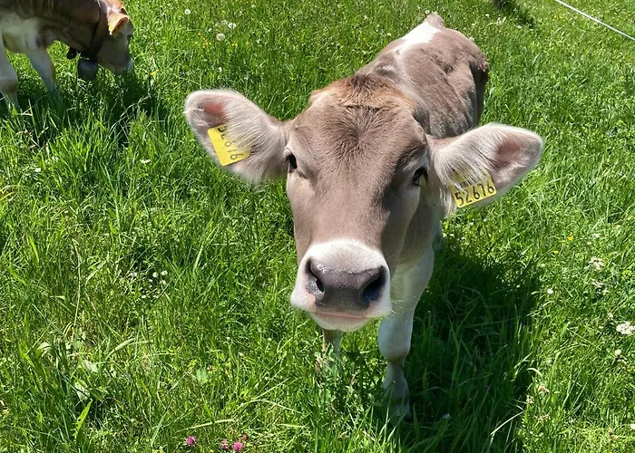 Bergblick アパート *