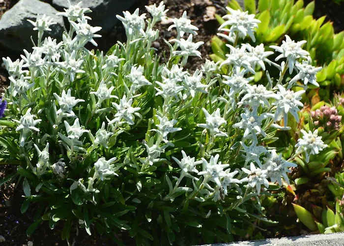 Bergblick アパート